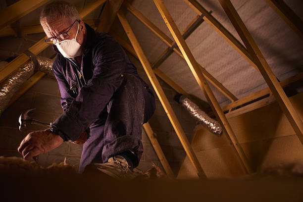 Best Insulation Contractors for Homes  in Union City, OH